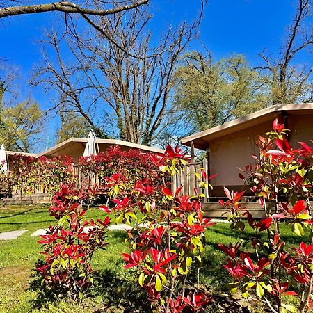 Campeggio Europa Silvella San Felice del Benaco Esterno foto The garden of the hotel