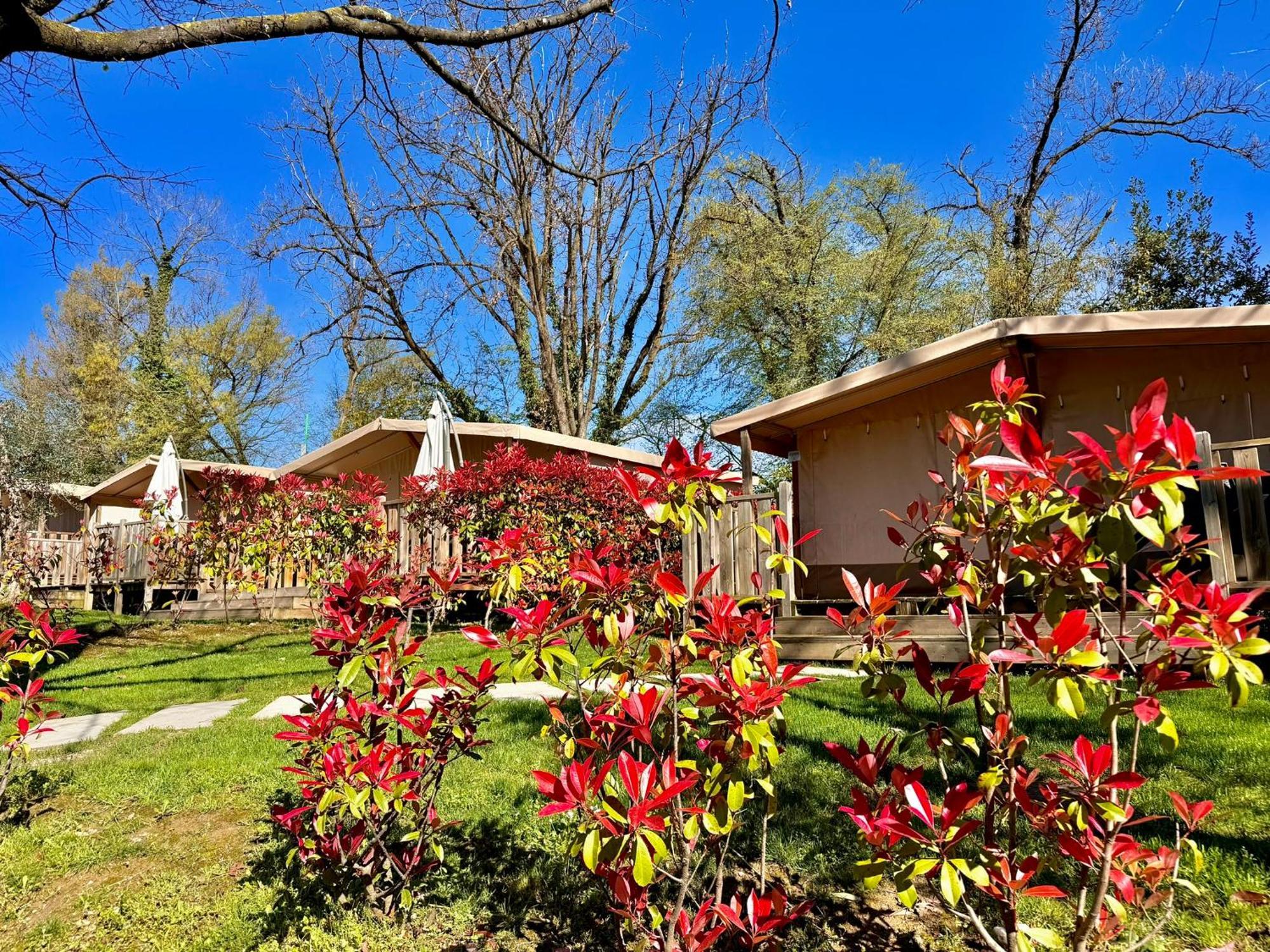 Campeggio Europa Silvella San Felice del Benaco Esterno foto The garden of the hotel